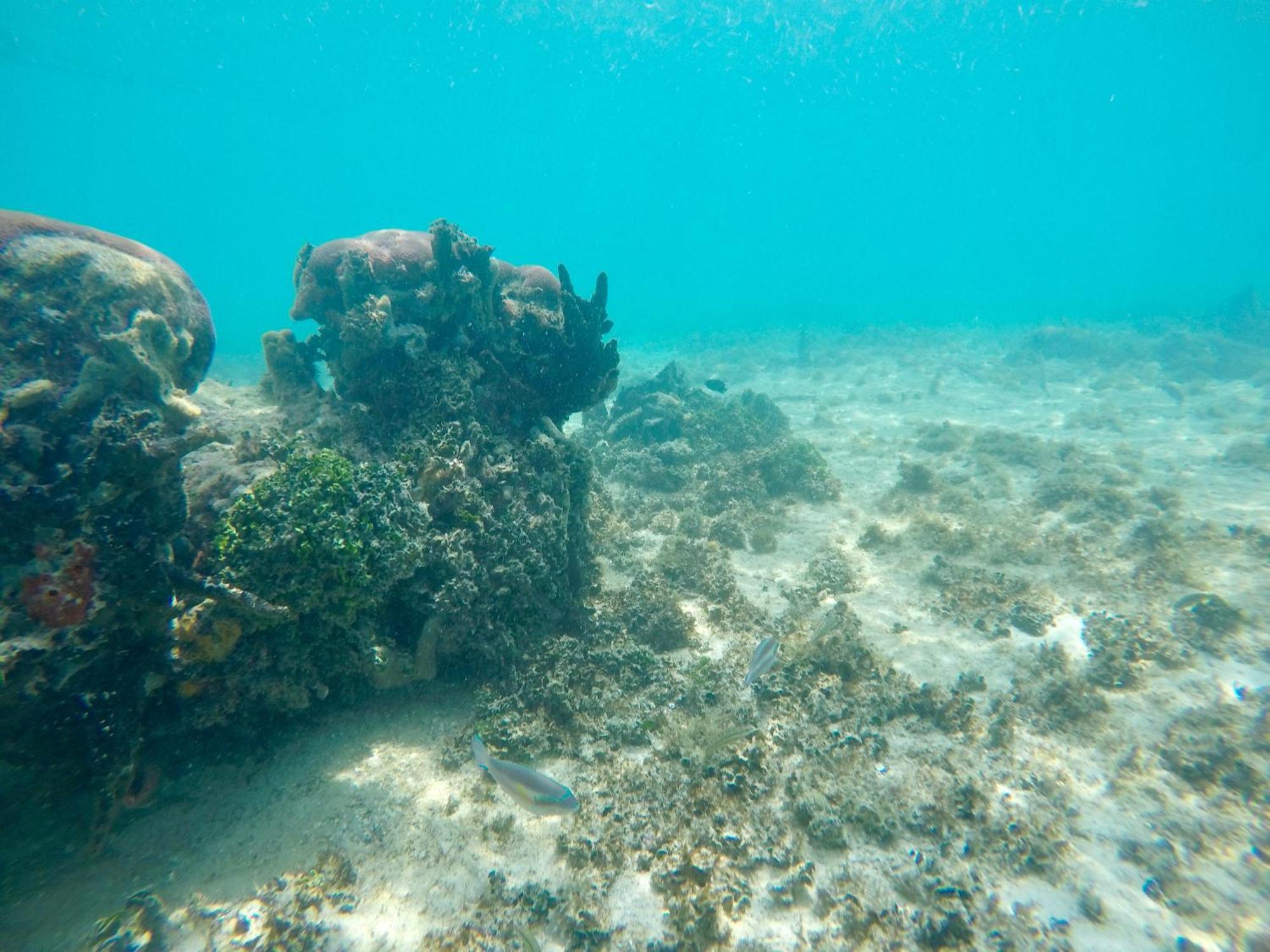 Hostel Santa Cruz Del Islote エクステリア 写真